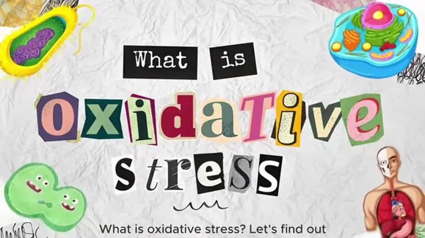 Velta educational animation explaining reactive molecules